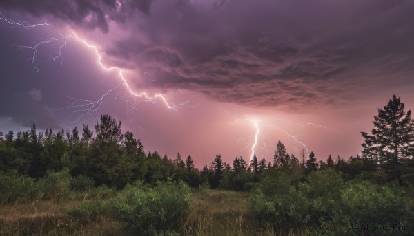 outdoors,sky,cloud,tree,no humans,cloudy sky,grass,nature,scenery,forest,sunset,mountain,electricity,lightning,landscape,red sky