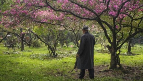 solo,long sleeves,1boy,hat,standing,male focus,outdoors,multiple boys,day,pants,from behind,tree,coat,grass,cherry blossoms,nature,scenery,forest,long coat,old man,fedora,photo background,black hair,cape,formal,suit,top hat,cane