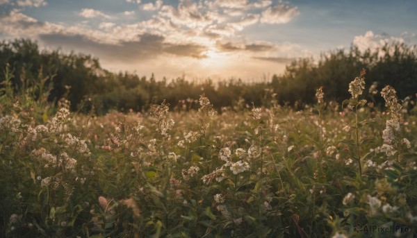 A peaceful image of a unique subject in day