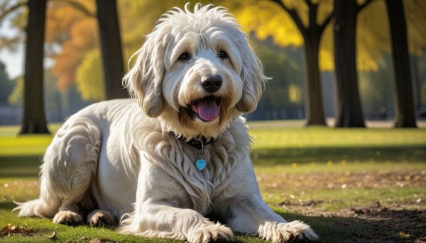 The allure of a dog in a dynamic day