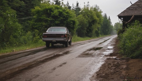 outdoors,day,tree,no humans,grass,ground vehicle,building,nature,scenery,motor vehicle,forest,car,road,bush,house,vehicle focus,street,sky,realistic