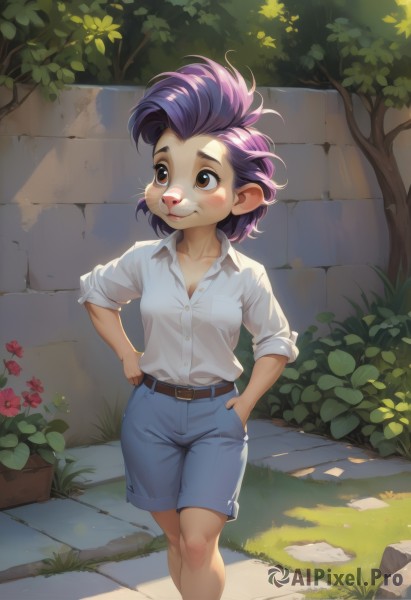 1girl,solo,breasts,blush,smile,short hair,shirt,brown eyes,closed mouth,standing,collarbone,white shirt,purple hair,flower,small breasts,outdoors,shorts,day,collared shirt,belt,tree,looking to the side,dress shirt,feet out of frame,looking away,sunlight,grass,plant,furry,sleeves rolled up,walking,blue shorts,hands on hips,hands in pockets,furry female,shirt tucked in,wall,brick wall,tomboy,cleavage,pointy ears,artist name,leaf,denim,bush,sleeves pushed up,stone wall