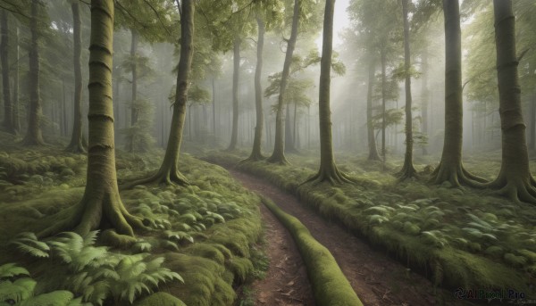 A unique view of a landscape in day