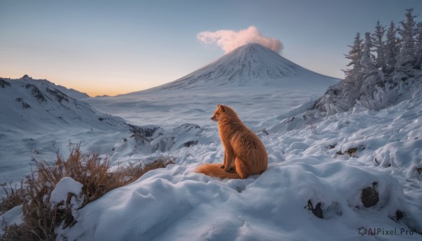 The allure of a unique subject in a majestic snowy outdoors