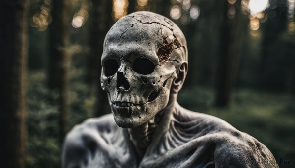 solo,looking at viewer,1boy,collarbone,upper body,male focus,blurry,depth of field,blurry background,portrait,veins,skull,realistic,bald,skeleton,alien,horror (theme),no humans,statue