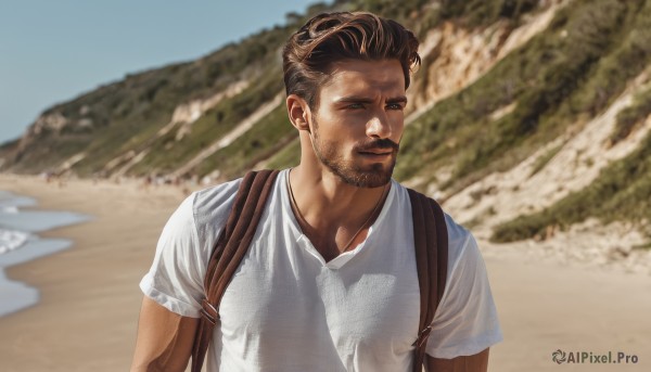 solo,looking at viewer,short hair,brown hair,shirt,1boy,closed mouth,white shirt,upper body,short sleeves,male focus,outdoors,one eye closed,day,dark skin,bag,blurry,blurry background,facial hair,dark-skinned male,backpack,t-shirt,beard,meme,realistic,mustache,stubble,photo background,desert,reference inset,photo inset,brown eyes,sky,blue sky,looking to the side,muscular,beach,pectorals,muscular male,bara,sideburns,sand,undercut,chest hair