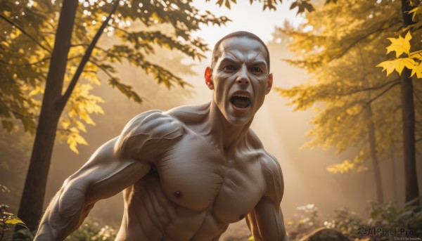 solo,looking at viewer,open mouth,1boy,nipples,upper body,male focus,outdoors,teeth,artist name,signature,blurry,tree,muscular,colored skin,leaf,parody,abs,pectorals,muscular male,nature,forest,veins,realistic,autumn leaves,bald,old,grey skin,autumn,white hair,nude,day,tattoo,sunlight,topless male,manly