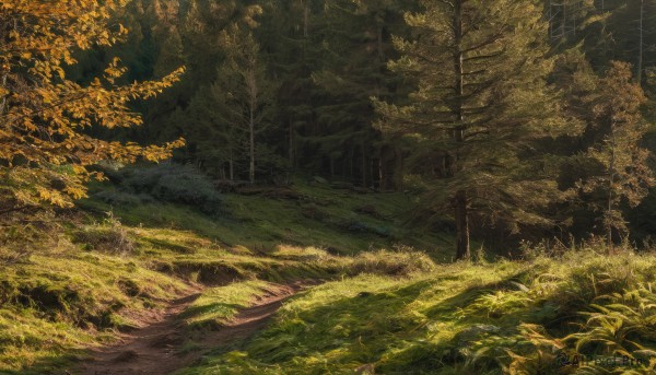 A landscape showcased in a bold day