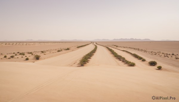 outdoors,sky,day,tree,no humans,bird,beach,nature,scenery,mountain,sand,horizon,road,field,landscape,shore,desert,cloud,water,ocean,grass,plant,rock,path