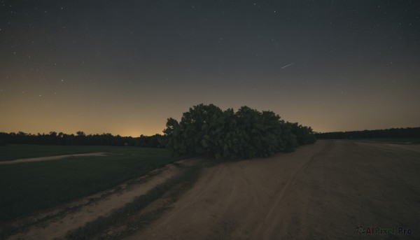 outdoors,sky,tree,no humans,night,beach,grass,star (sky),nature,night sky,scenery,forest,starry sky,sunset,sand,road,bush,shooting star,hill