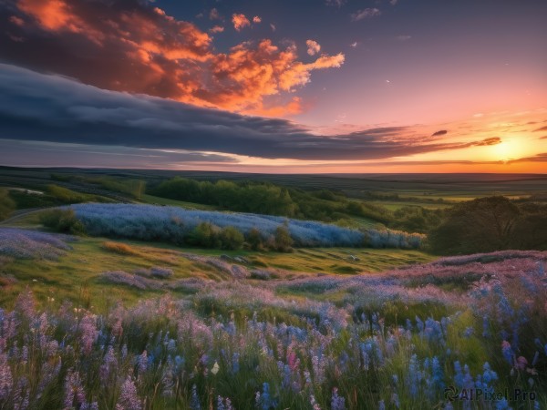 flower,outdoors,sky,cloud,water,tree,no humans,bird,sunlight,cloudy sky,grass,nature,scenery,forest,blue flower,sunset,mountain,sun,horizon,field,river,twilight,flower field,evening,landscape,mountainous horizon,gradient sky,hill,purple flower