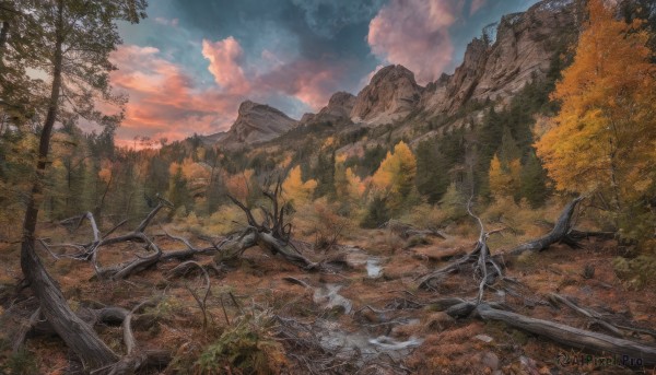 The charm of a landscape in a scenic sunset day