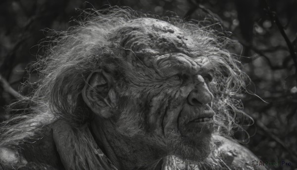 solo,1boy,closed mouth,monochrome,greyscale,male focus,parted lips,blurry,from side,tree,blurry background,facial hair,scar,messy hair,portrait,beard,realistic,teeth,clenched teeth