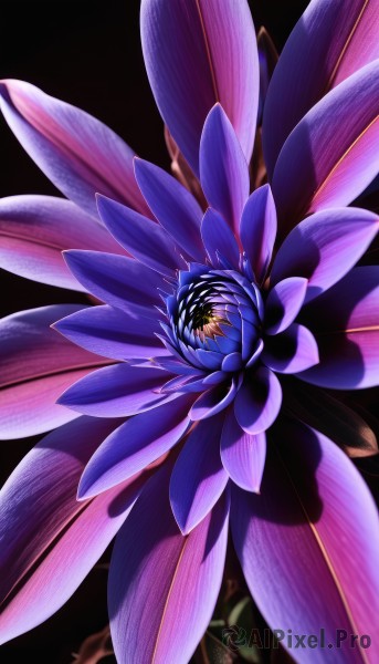 solo,looking at viewer,simple background,yellow eyes,flower,wings,pokemon (creature),no humans,leaf,black background,blue flower,purple flower,signature,blurry,depth of field,plant,realistic,still life