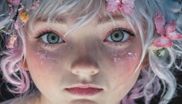 1girl,solo,looking at viewer,short hair,bangs,blue eyes,hair ornament,jewelry,closed mouth,green eyes,flower,white hair,multicolored hair,earrings,hair flower,lips,grey eyes,eyelashes,portrait,close-up,pink flower,realistic,nose,eye focus,expressionless,cherry blossoms,freckles