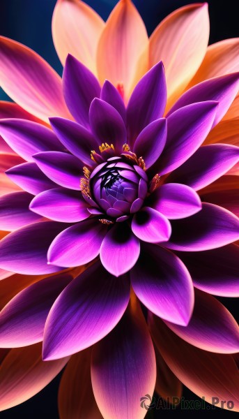 A delightful capture of a abstract within background