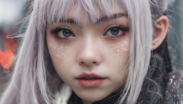 1girl,solo,long hair,looking at viewer,bangs,white hair,parted lips,artist name,blurry,black eyes,lips,grey eyes,eyelashes,makeup,depth of field,blurry background,portrait,close-up,freckles,realistic,nose,red lips,eye focus,green eyes,heart,teeth