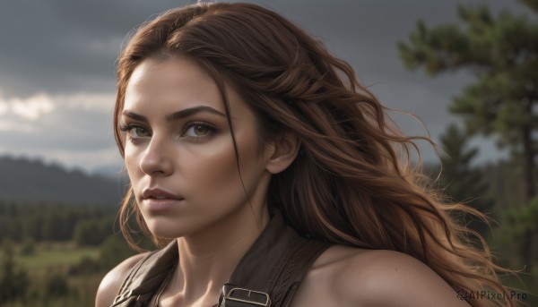 1girl,solo,long hair,looking at viewer,brown hair,bare shoulders,brown eyes,green eyes,collarbone,upper body,outdoors,parted lips,sky,sleeveless,day,artist name,cloud,signature,mole,blurry,tree,lips,blurry background,portrait,forehead,freckles,realistic,nose,eyelashes,depth of field,sunlight,thick eyebrows,cloudy sky,messy hair