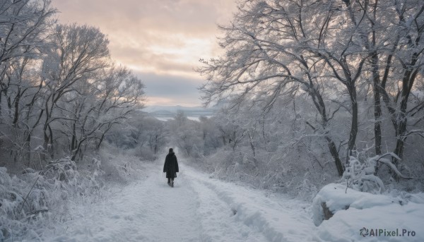 solo,1boy,standing,male focus,outdoors,sky,day,cloud,from behind,tree,coat,cloudy sky,nature,scenery,snow,forest,winter clothes,wide shot,winter,bare tree,footprints,1girl,grass,1other,mountain,landscape,ambiguous gender