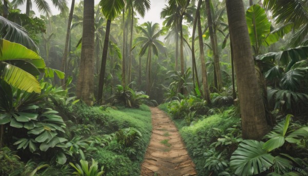 outdoors,day,tree,no humans,leaf,sunlight,grass,plant,nature,scenery,forest,palm tree,bush,green theme,path,road