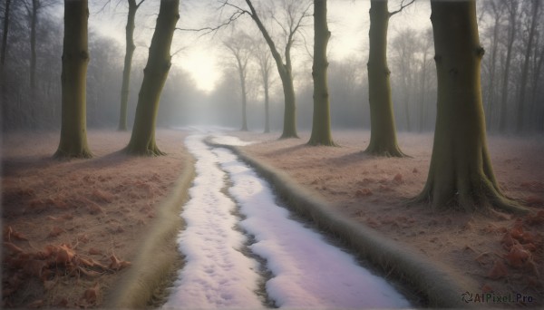 A charming snowy day featuring a landscape