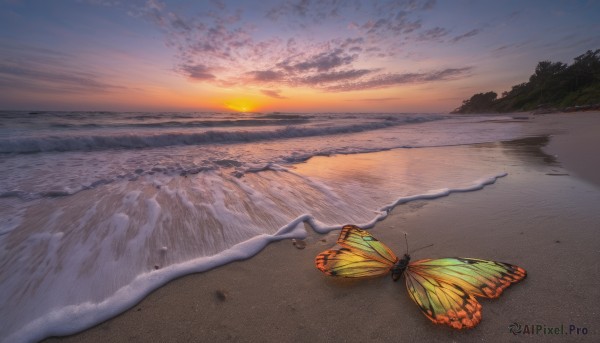 outdoors, sky, cloud, water, tree, dutch angle, no humans, ocean, animal, beach, bug, butterfly, scenery, sunset, sand, horizon, waves, shore