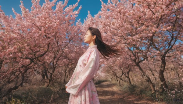 1girl, solo, long hair, brown hair, black hair, long sleeves, dress, outdoors, sky, day, from side, tree, blue sky, profile, floral print, grass, looking up, cherry blossoms, wind, realistic