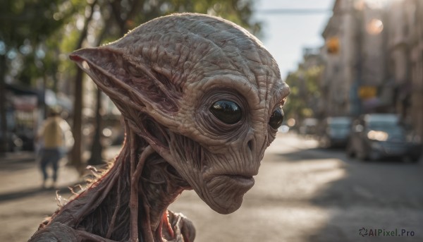 A alien surrounded by a serene outdoors