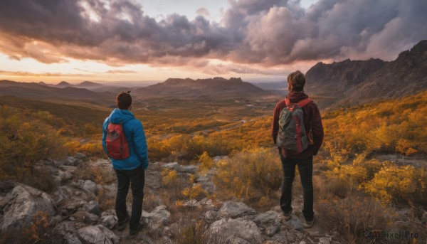 short hair,brown hair,black hair,long sleeves,standing,jacket,male focus,outdoors,multiple boys,sky,shoes,pants,cloud,hood,2boys,bag,from behind,hoodie,black pants,backpack,hood down,cloudy sky,grass,blue jacket,scenery,red jacket,walking,rock,mountain,hands in pockets,facing away,field,mountainous horizon,tree,sneakers,nature,sunset,horizon,landscape,red hoodie