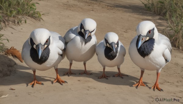 looking at viewer,red eyes,standing,full body,outdoors,day,pokemon (creature),no humans,shadow,bird,grass,animal focus,talons,beak,from above,realistic