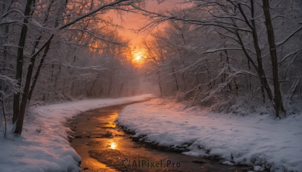 outdoors,water,tree,no humans,sunlight,nature,scenery,snow,forest,reflection,sunset,road,autumn leaves,winter,bare tree,river,autumn,sky,ice,snowing,landscape