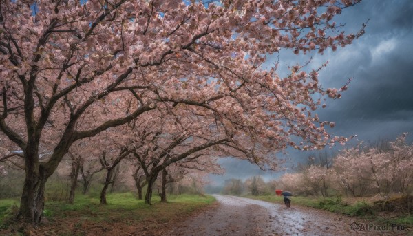 1girl, solo, outdoors, sky, day, cloud, signature, tree, blue sky, umbrella, cloudy sky, grass, cherry blossoms, scenery, road, path