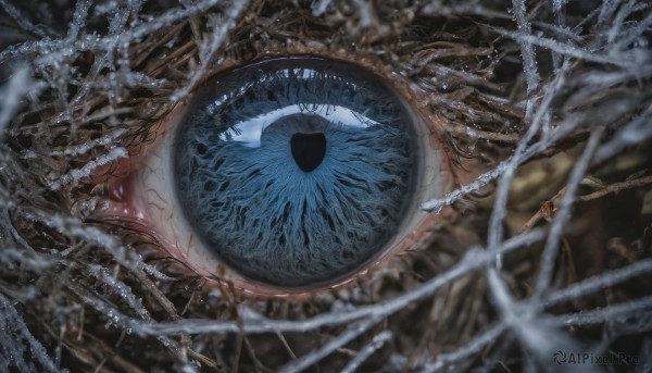 solo,weapon,blurry,tree,no humans,depth of field,from above,scenery,close-up,1other,reflection,blurry foreground,branch,ambiguous gender,eye focus,looking at viewer,1boy,male focus,eyelashes