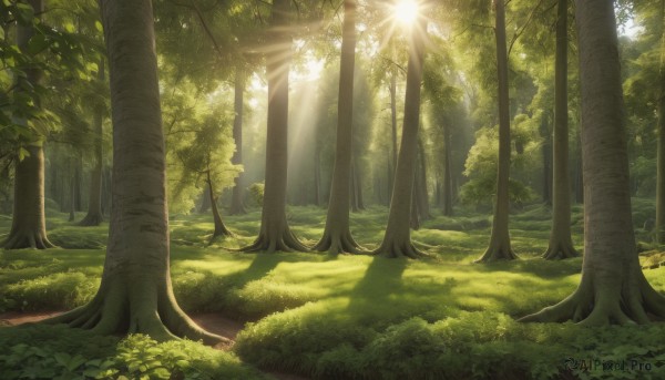 A ethereal day featuring a landscape