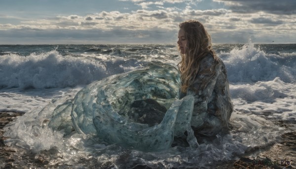 1girl,solo,long hair,blonde hair,brown hair,long sleeves,1boy,sitting,closed mouth,closed eyes,outdoors,sky,cloud,water,armor,from side,profile,facial hair,ocean,animal,beach,cloudy sky,beard,realistic,horizon,waves,grey sky,day,wet,monster girl,mermaid