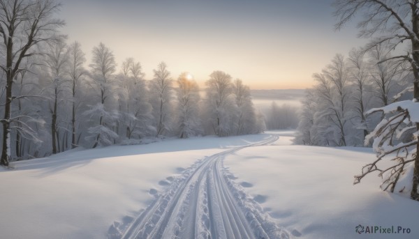 outdoors,sky,cloud,tree,no humans,sunlight,nature,scenery,snow,forest,sunset,mountain,sun,road,winter,bare tree,landscape,sunrise,footprints