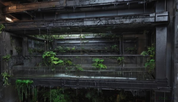 outdoors,day,water,tree,no humans,window,plant,building,scenery,rain,stairs,ruins,vines,moss,overgrown,broken window,indoors,industrial pipe