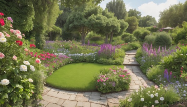 A garden showcased in a bold day