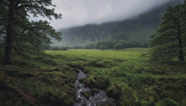 outdoors,sky,day,cloud,tree,no humans,cloudy sky,grass,nature,scenery,forest,rock,mountain,river,landscape,fog,water