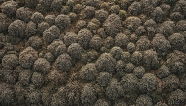 A unique subject captured in a dynamic scenery