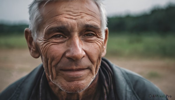 solo,looking at viewer,smile,1boy,closed mouth,jacket,upper body,white hair,grey hair,male focus,outdoors,day,blurry,black eyes,blurry background,facial hair,portrait,beard,realistic,stubble,manly,old,old man,wrinkled skin,shirt,lips,grey eyes,black shirt,depth of field,scar,blue jacket,close-up,veins