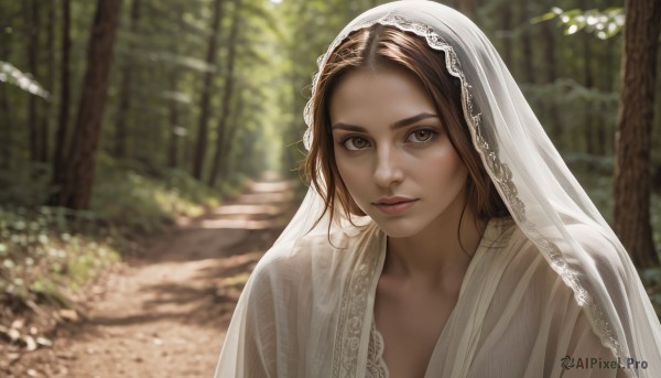 1girl,solo,looking at viewer,smile,short hair,brown hair,brown eyes,closed mouth,upper body,outdoors,day,blurry,tree,lips,depth of field,blurry background,portrait,nature,veil,forest,realistic,nose,bridal veil,long hair,dress,parted lips