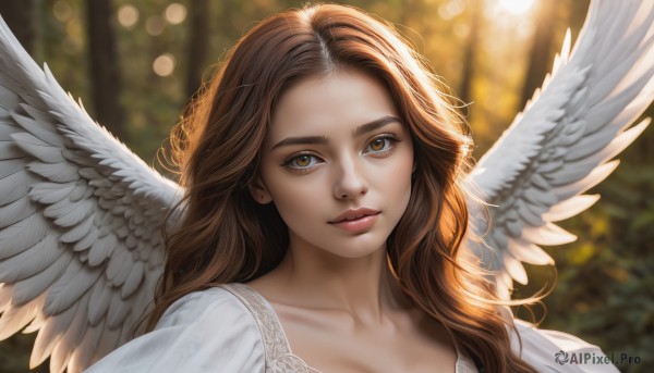 1girl,solo,long hair,looking at viewer,brown hair,dress,brown eyes,closed mouth,collarbone,upper body,wings,white dress,blurry,lips,eyelashes,depth of field,blurry background,wavy hair,portrait,feathered wings,forehead,angel wings,realistic,nose,white wings,angel,cleavage,jewelry,yellow eyes,earrings,outdoors,parted lips,day,sunlight,bokeh