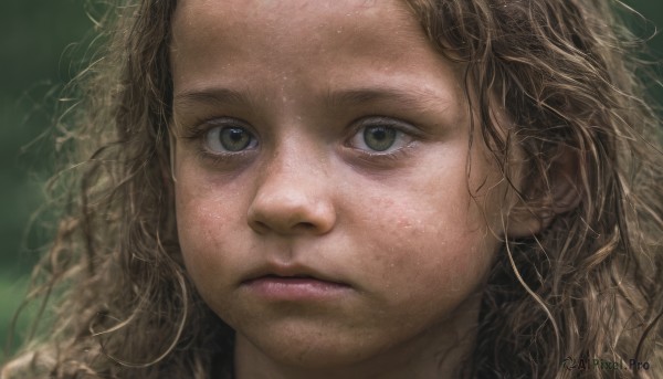 1girl,solo,long hair,looking at viewer,blonde hair,brown hair,closed mouth,green eyes,blurry,lips,grey eyes,eyelashes,wavy hair,expressionless,messy hair,portrait,close-up,forehead,freckles,realistic,nose,brown eyes