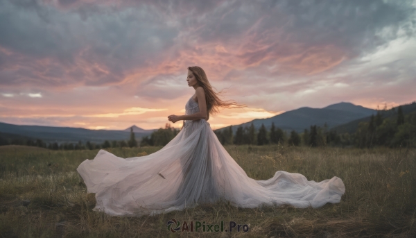 1girl,solo,long hair,breasts,blonde hair,brown hair,dress,holding,bare shoulders,standing,closed eyes,flower,outdoors,sky,sleeveless,cloud,white dress,blurry,from side,tree,see-through,profile,sleeveless dress,cloudy sky,grass,wind,nature,scenery,sunset,mountain,long dress,field,mountainous horizon,hill,smile,wedding dress,landscape