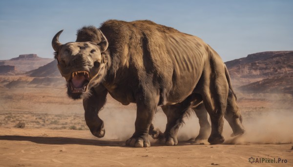 solo,open mouth,standing,full body,outdoors,horns,sky,day,blue sky,no humans,animal,fangs,mountain,realistic,sand,chinese zodiac,animal focus,desert,tusks,boar,year of the pig,teeth,shadow,running