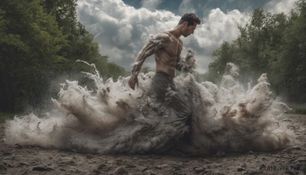 solo, black hair, 1boy, male focus, outdoors, sky, day, cloud, tree, muscular, abs, cloudy sky, pectorals, nature, topless male