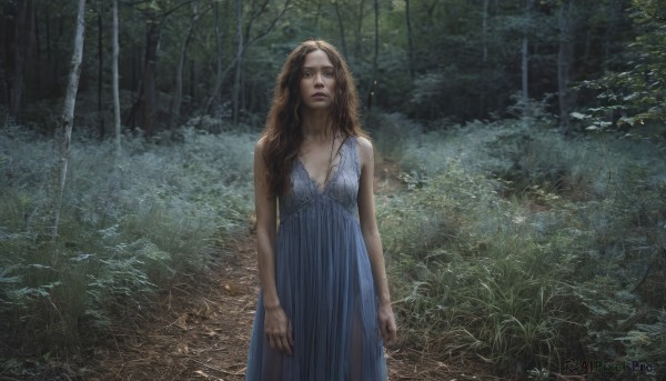 1girl,solo,long hair,breasts,looking at viewer,brown hair,dress,cleavage,bare shoulders,brown eyes,medium breasts,standing,outdoors,sleeveless,tree,lips,blue dress,nature,forest,realistic,arms at sides,blue eyes,closed mouth,green eyes,sleeveless dress,grass,plant,scenery