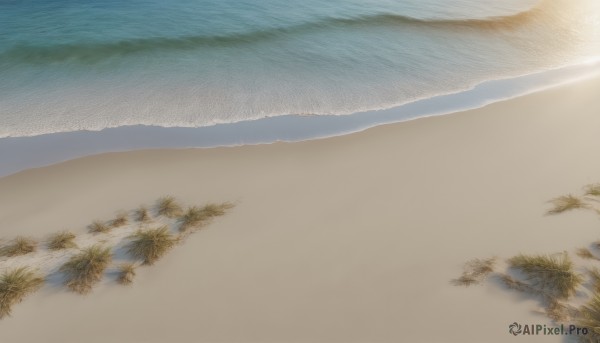 The charm of a abstract in a scenic background