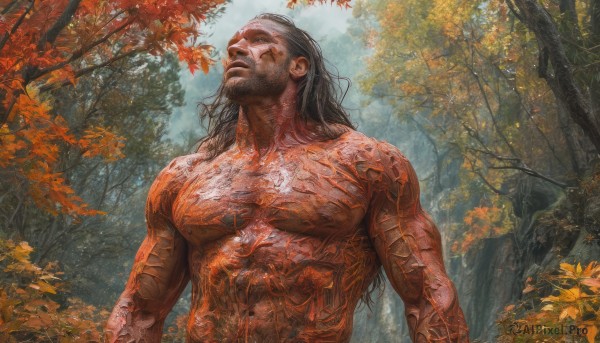 solo,long hair,black hair,1boy,closed mouth,upper body,male focus,outdoors,day,tree,tattoo,muscular,facial hair,leaf,scar,abs,pectorals,muscular male,nature,beard,forest,topless male,realistic,autumn leaves,manly,autumn,nude,sky,completely nude,from below,looking up